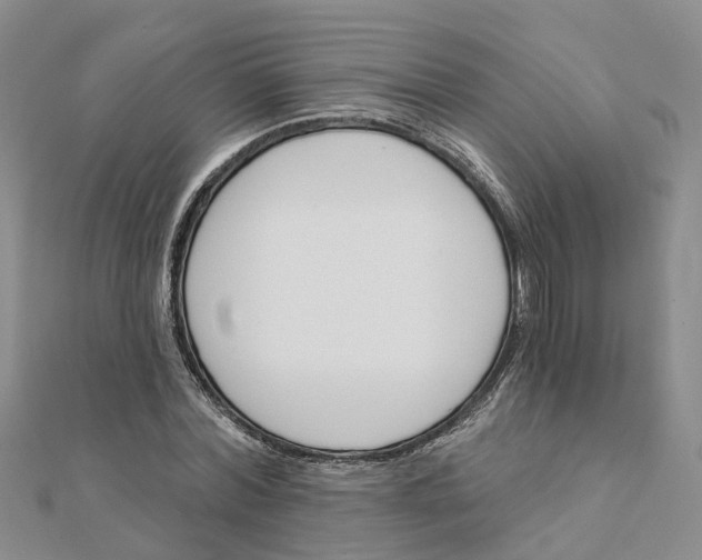 X0000111890780200908131653