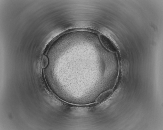 X0000111890781200908131653