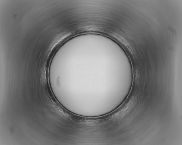 X0000111890782200908131653