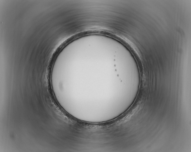 X0000111890783200908131653