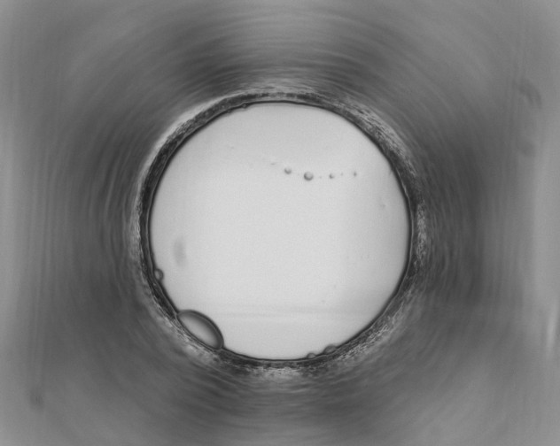 X0000111890784200908131653