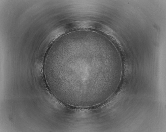 X0000111890785200908131653