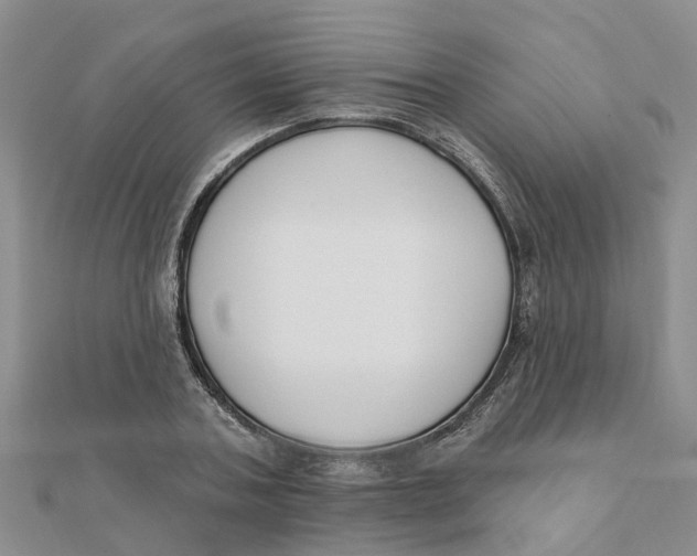 X0000111890787200908131653