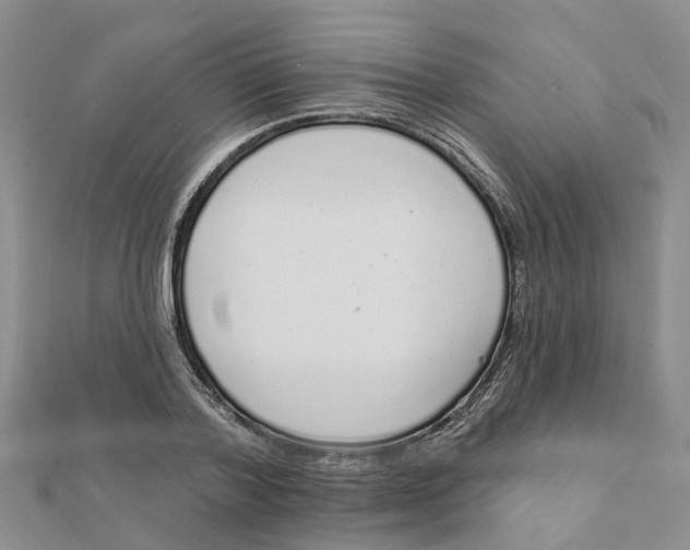 X0000111890788200908131653