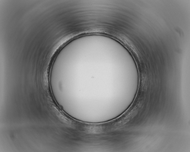 X0000111890789200908131653