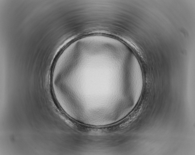 X0000111890790200908131653