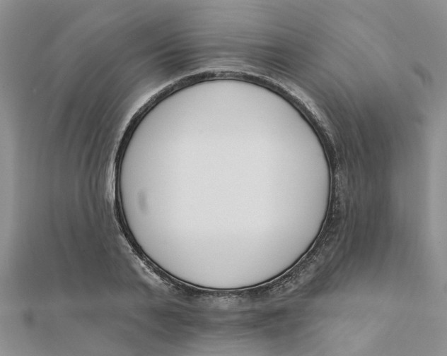 X0000111890791200908131653