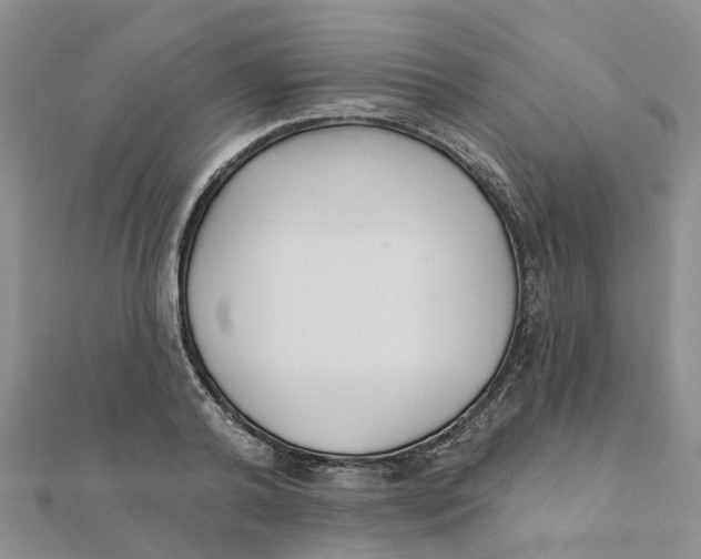 X0000111890792200908131653