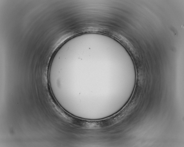 X0000111890794200908131653