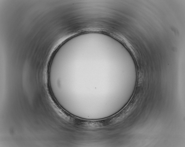 X0000111890795200908131653