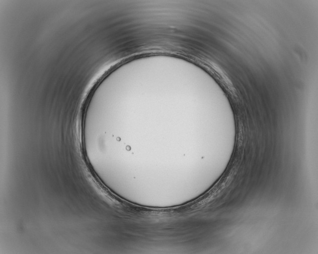 X0000111890796200908131653