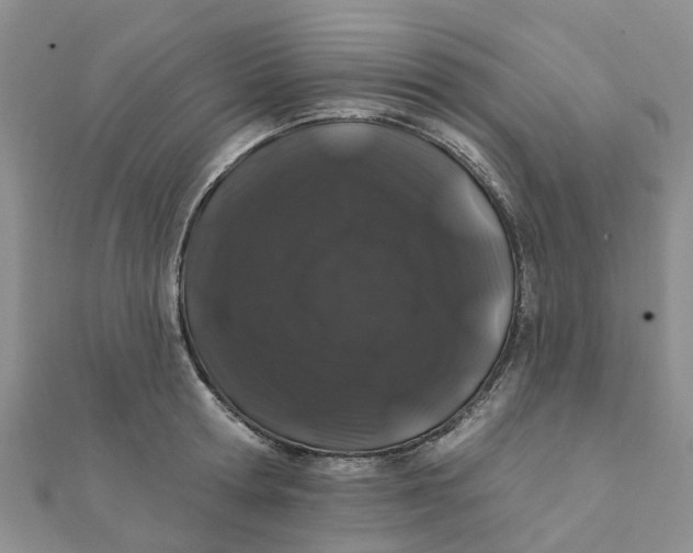 X0000111890802200908131653