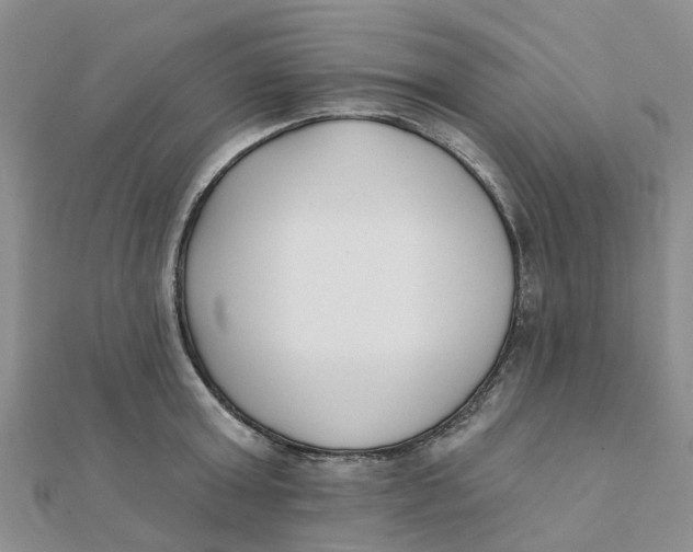 X0000111890803200908131653