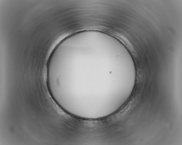 X0000111890804200908131653