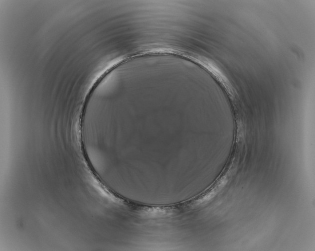 X0000111890806200908131653