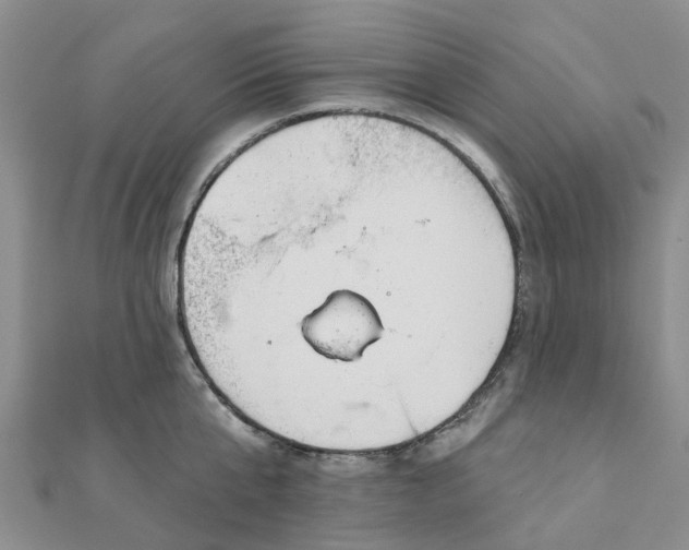 X0000111890807200908131653