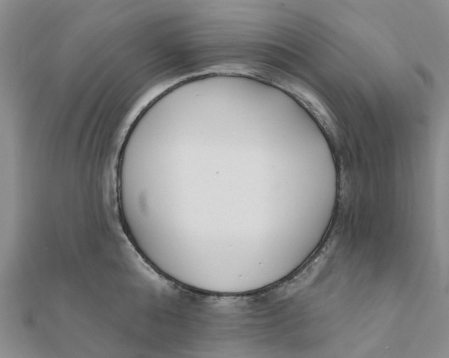 X0000111890808200908131653