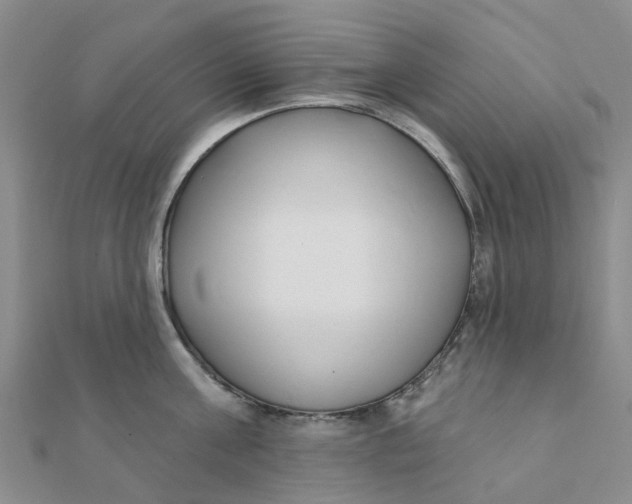 X0000111890811200908131653