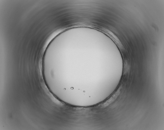 X0000111890812200908131653