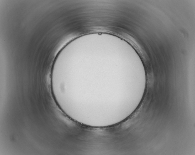 X0000111890814200908131653