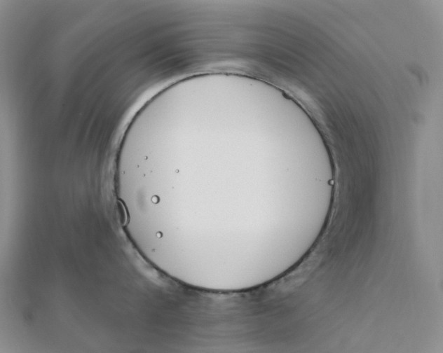 X0000111890816200908131653