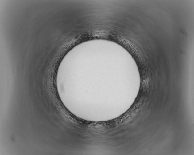 X0000111890817200908131652