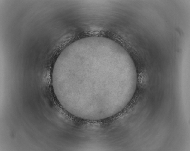 X0000111890820200908131652