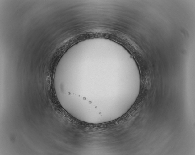 X0000111890821200908131652