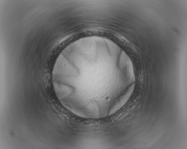 X0000111890822200908131652