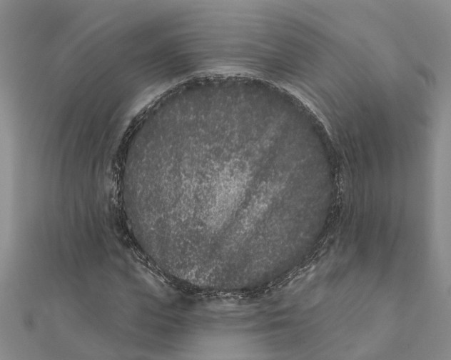 X0000111890823200908131652