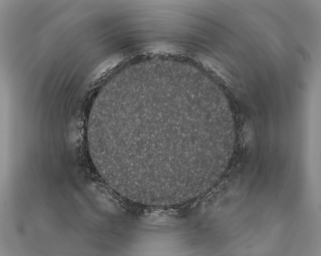 X0000111890824200908131652