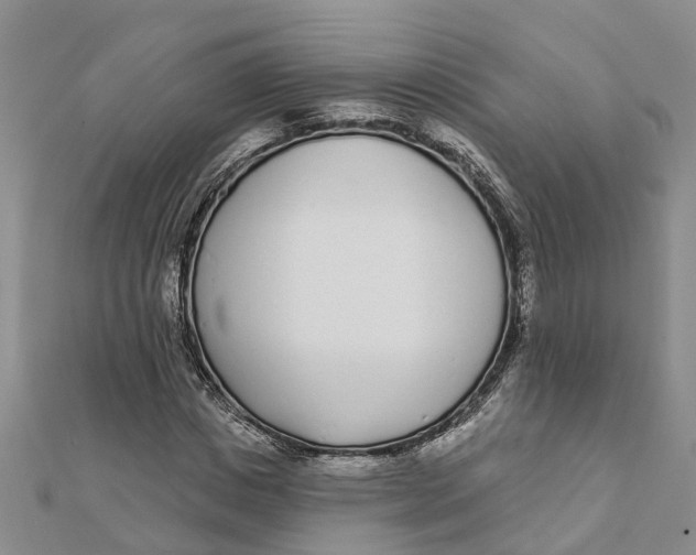 X0000111890825200908131652