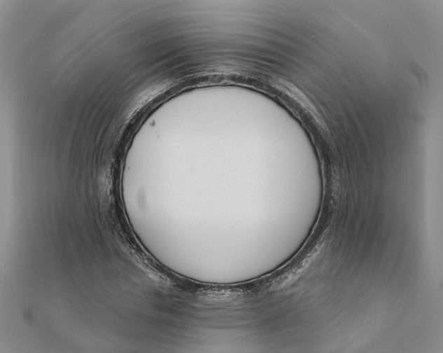 X0000111890826200908131652