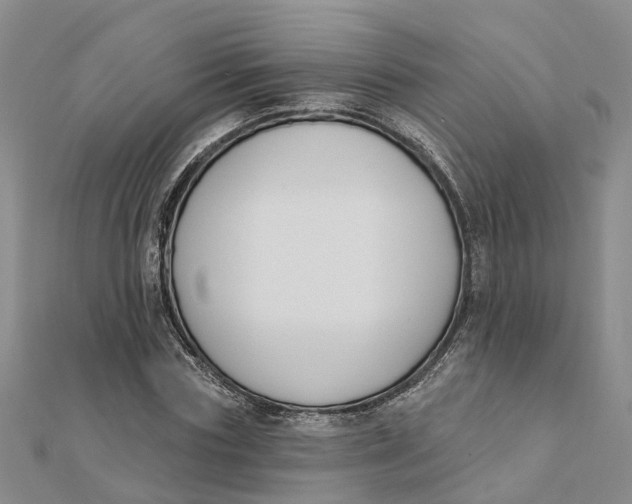 X0000111890827200908131653