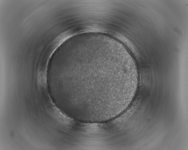 X0000111890828200908131653