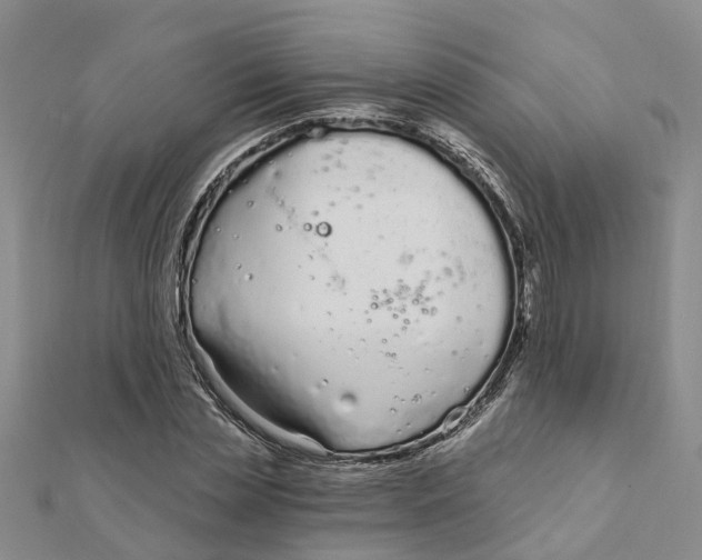 X0000111890829200908131653