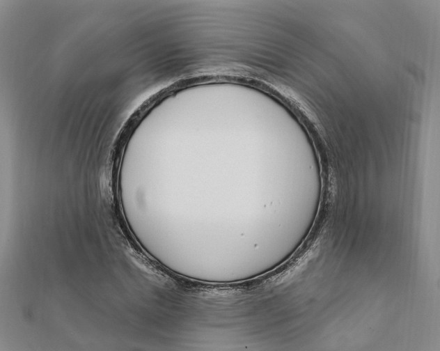 X0000111890830200908131653