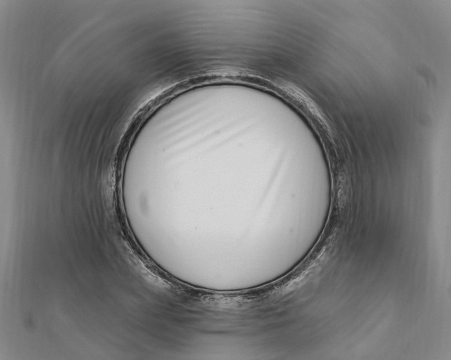 X0000111890831200908131653