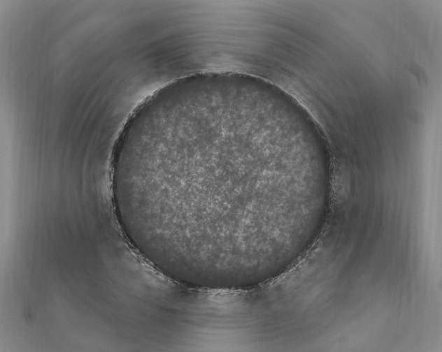 X0000111890832200908131653