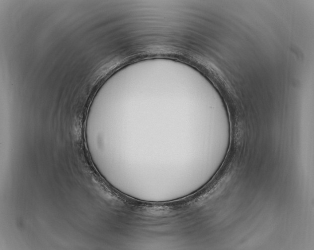 X0000111890833200908131653