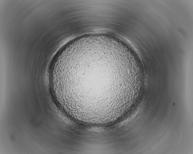 X0000111890835200908131653