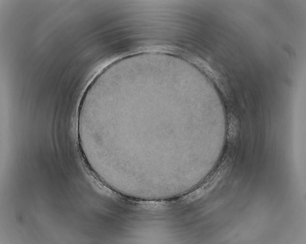 X0000111890836200908131653