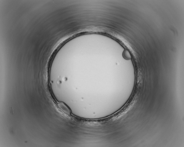 X0000111890837200908131653