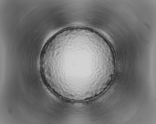 X0000111890839200908131653