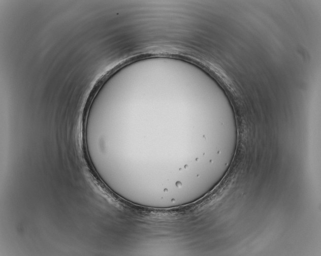 X0000111890840200908131653