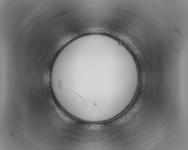 X0000111890841200908131653