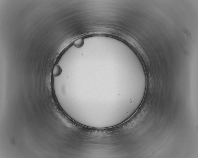 X0000111890842200908131653