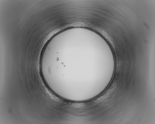 X0000111890845200908131653