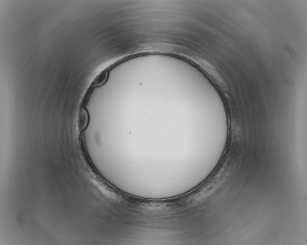 X0000111890846200908131653