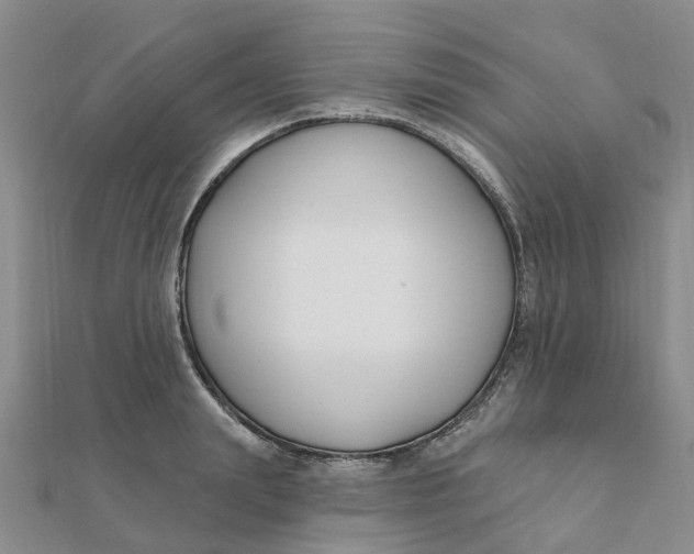 X0000111890847200908131653